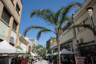 Feria de la Economía Social y Solidaria en la peatonal Sarandí