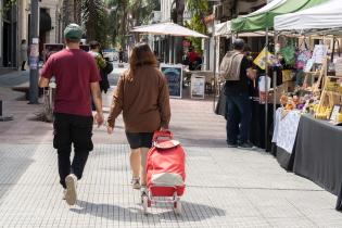 Feria de la Economía Social y Solidaria en la peatonal Sarandí