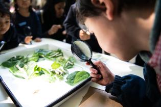 20251030dicimouypd3319.jpg Celebración del 40° aniversario del Centro de Educación Inici