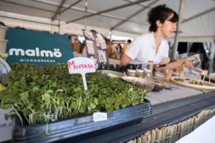 20251101dicimouyjmr1537.jpg Jornada de adopción de animales y feria vegana en el Velódrom
