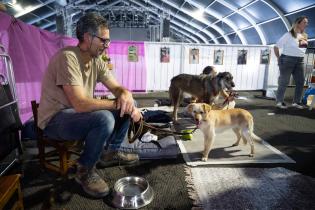 20251101dicimouyjmr1538.jpg Jornada de adopción de animales y feria vegana en el Velódrom