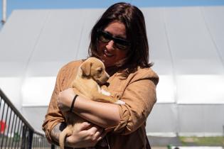 20251101dicimouyjmr1558.jpg Jornada de adopción de animales y feria vegana en el Velódrom