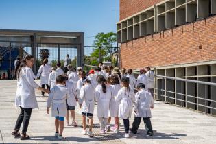 Función de programa Fortalecimiento de las Artes: El truco de O