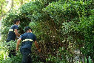 Inicio de proyecto de reformulación de plaza Matriz
