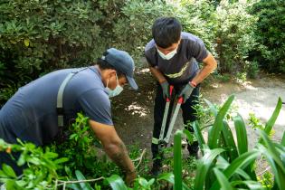 Inicio de proyecto de reformulación de plaza Matriz