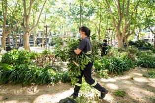 Inicio de proyecto de reformulación de plaza Matriz