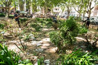 Inicio de proyecto de reformulación de plaza Matriz