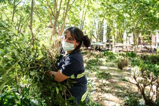 Inicio de proyecto de reformulación de plaza Matriz