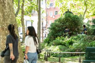 Inicio de proyecto de reformulación de plaza Matriz