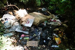 Inicio de proyecto de reformulación de plaza Matriz