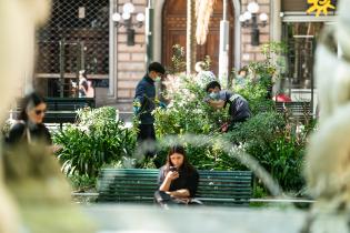 Inicio de proyecto de reformulación de plaza Matriz