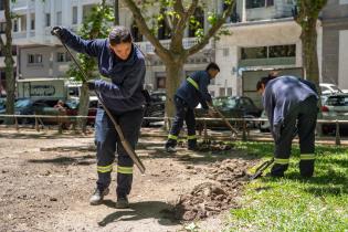 Avanza proyecto de reformulación de plaza Matriz