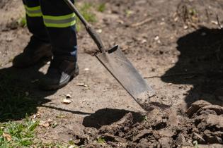 Avanza proyecto de reformulación de plaza Matriz
