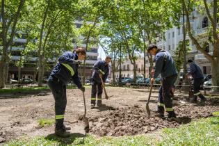 Avanza proyecto de reformulación de plaza Matriz