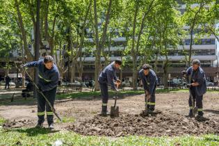 Avanza proyecto de reformulación de plaza Matriz