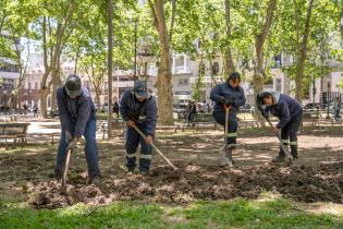 Avanza proyecto de reformulación de plaza Matriz