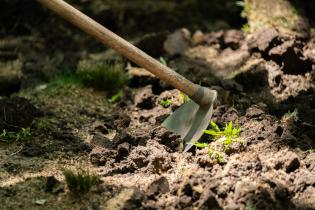 Avanza proyecto de reformulación de plaza Matriz