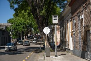 Nueva Palmira y Democracia