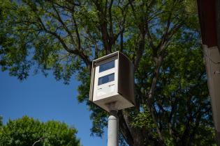 Nueva Palmira y Democracia