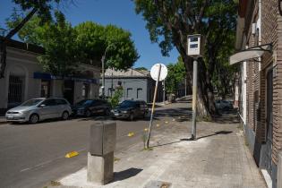 Nueva Palmira y Democracia