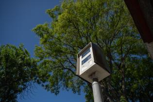 Nueva Palmira y Democracia