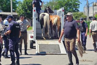 Retiro de caballos sueltos en vías públicas