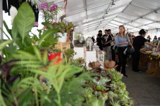 Feria Mypes de Navidad