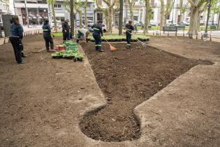 Plantación de especies vegetales por proyecto de reformulación