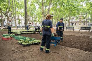 Plantación de especies vegetales por proyecto de reformulación