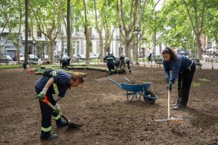 Plantación de especies vegetales por proyecto de reformulación