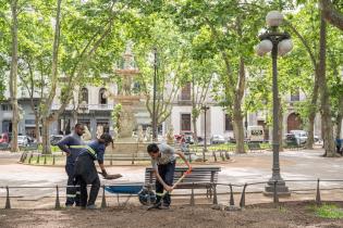Plantación de especies vegetales por proyecto de reformulación
