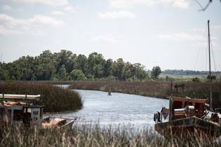 Lanzamiento del programa de Voluntariado Ambiental Joven