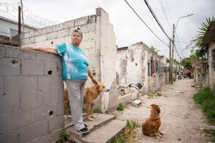 Mudanza de 46 viviendas del asentamiento Alfonso Lamas - Barros 