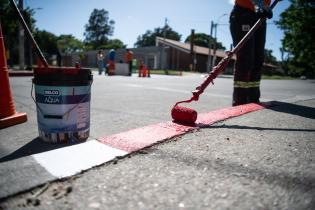  Intervención en cebras con pictogramas para personas con TEA