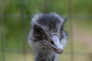 Parque Villa Dolores