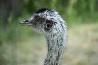 Parque Villa Dolores