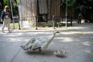 Parque Villa Dolores