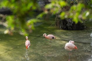 Parque Villa Dolores