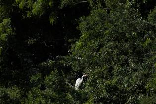 Parque Villa Dolores