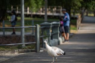 Parque Villa Dolores