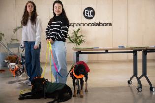 Jornada de adopción de perros en espacio Colabora