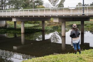 Lanzamiento de programa de monitoreo ambiental ciudadano de cali