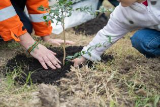 Lanzamiento de programa de monitoreo ambiental ciudadano de cali