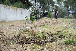 Lanzamiento de programa de monitoreo ambiental ciudadano de cali