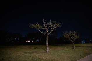  Reposición de luminarias en costanera Miguelete a Aparicio Sar