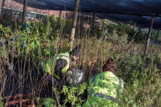 Cuadrilla del Programa ABC Trabajo en el Vivero Municipal Toledo Chico