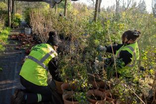 Cuadrilla del Programa ABC Trabajo en el Vivero Municipal Toledo Chico