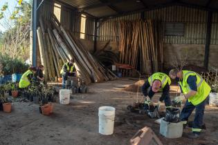 Cuadrilla del Programa ABC Trabajo en el Vivero Municipal Toledo Chico