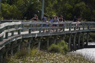 Jornada de canotaje y remo en los humedales del río Santa Lucía, proyecto "Acuáticas"