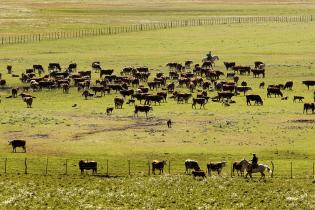 El campo natural y sus servicios ecosistémicos